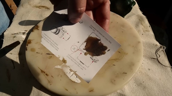 マツ科の植物の葉から絵の具作ってみた