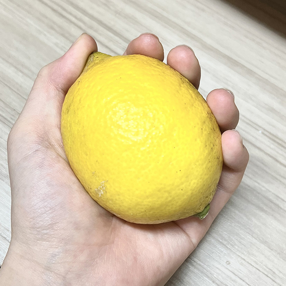 12年前にお小遣いで買ったレモンの木が……