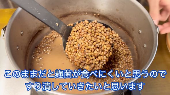 ヤブツルアズキを煮てすりつぶす