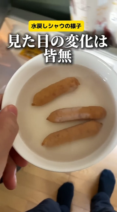 ドライシャウ 水に戻す シャウエッセン 実験