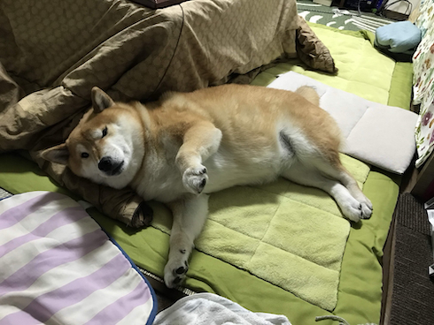 体が硬いアンちゃん