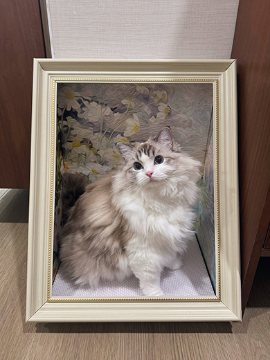 絵画みたいなかわいい爪とぎ