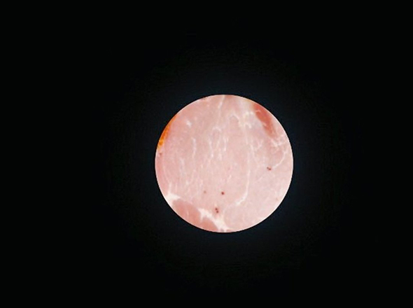 ウルフムーンかと思いきや……