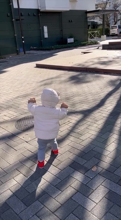 鳩を威嚇する子ども