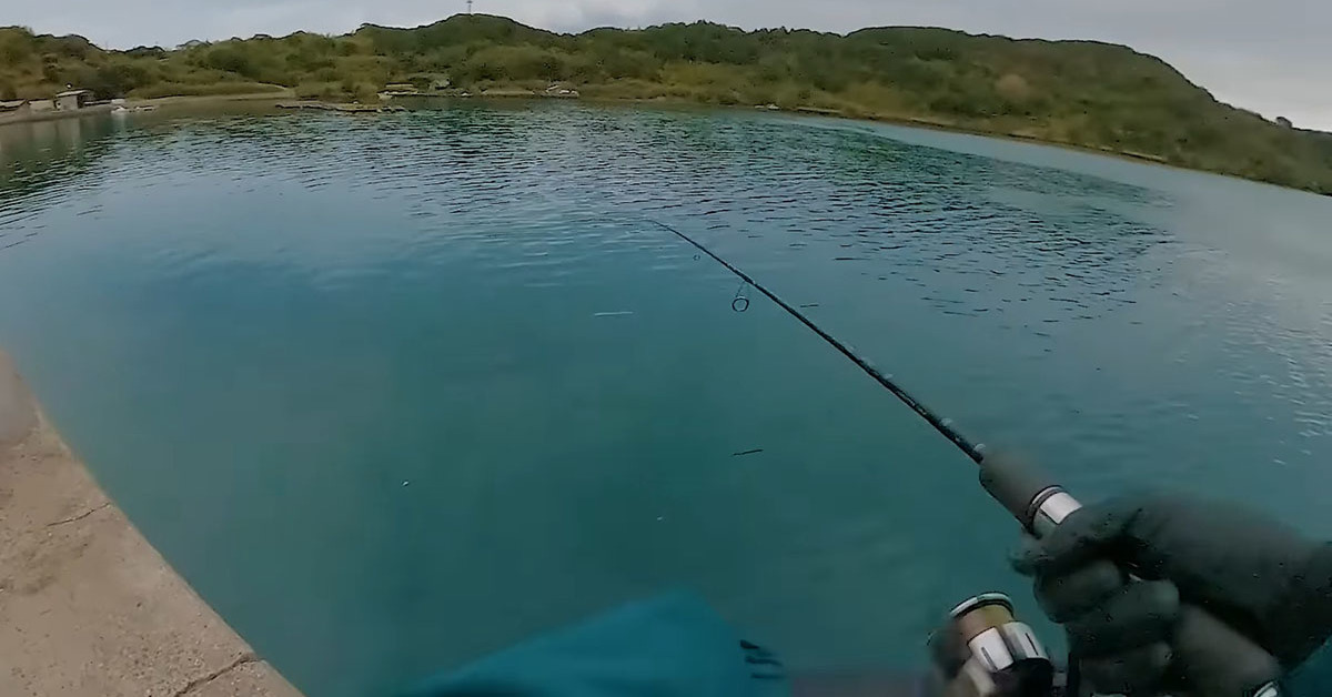 「この緊迫感たまんねぇ」　大物に逃げられた翌日、同じ場所で釣りをすると……　“やばすぎる結末”に興奮「恐れ入りました！」（1/3） | その他生き物 ねとらぼ