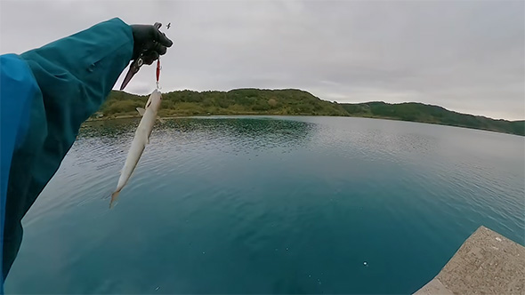 エソを持つ左手