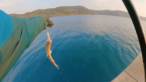エソを持つ左手と右側には竿