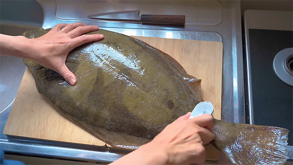ヒラメのウロコ取り