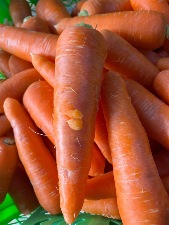 くちびるがついたニンジンをゲットした人