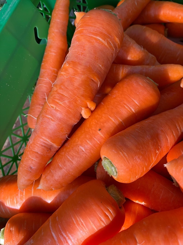 くちびるがついた人参をゲットした人