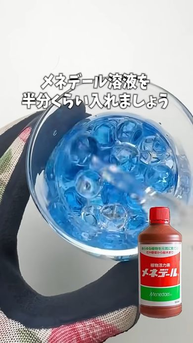 セパレート花瓶にジェルポリマーを詰めてメネデール溶液を注ぐ