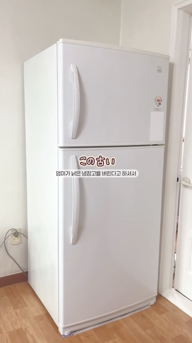 冷蔵庫のリメイク塗装