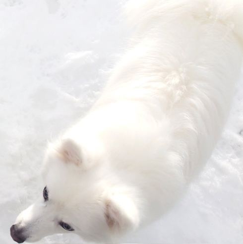 雪遊びする楽くん