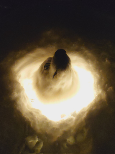 かまくらをエンジョイする楽くん