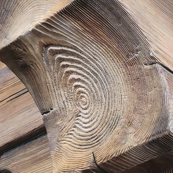 ディズニー スピーカー 隠し術 木材 年輪 隠し方 巧み