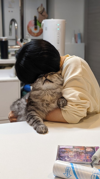 抱きしめられている大きな猫ちゃん