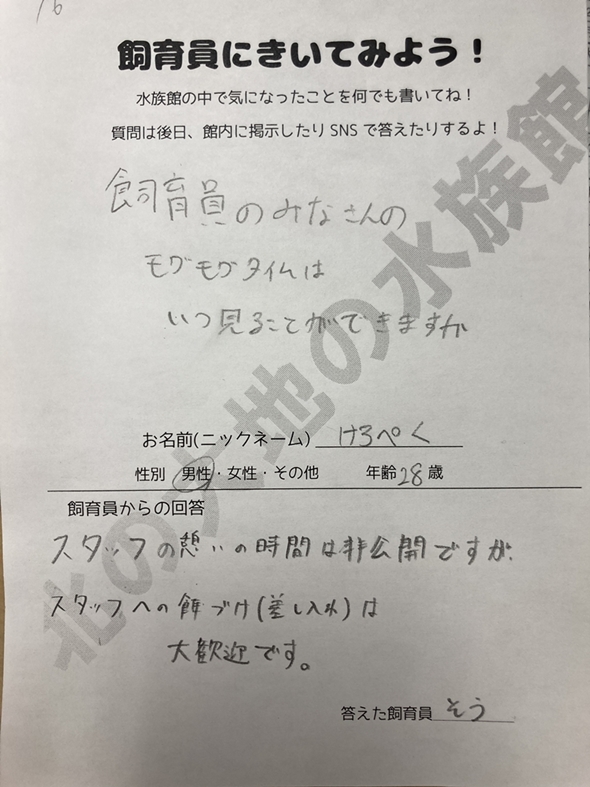 水族館飼育員のナイスな回答