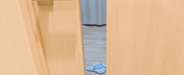 コーギー2匹が覗く窓