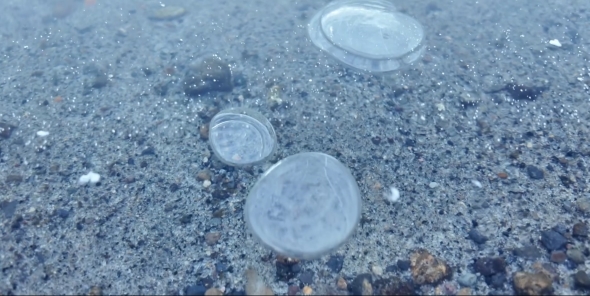 少し濁っ色に変化したバブル