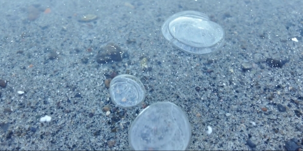 氷になったバブル