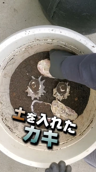 おすすめ