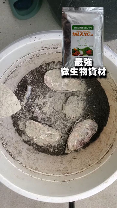 貝殻肥料