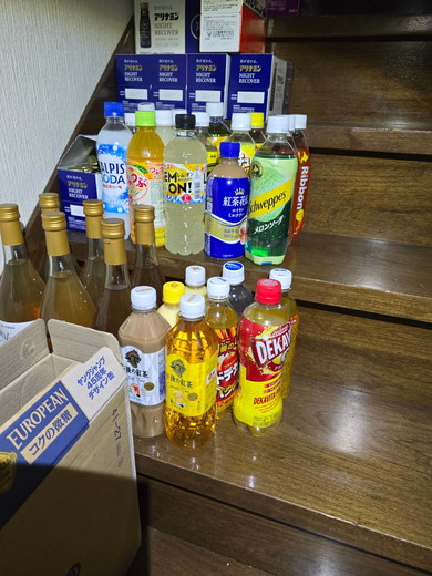 除雪をしたら集まる貢物