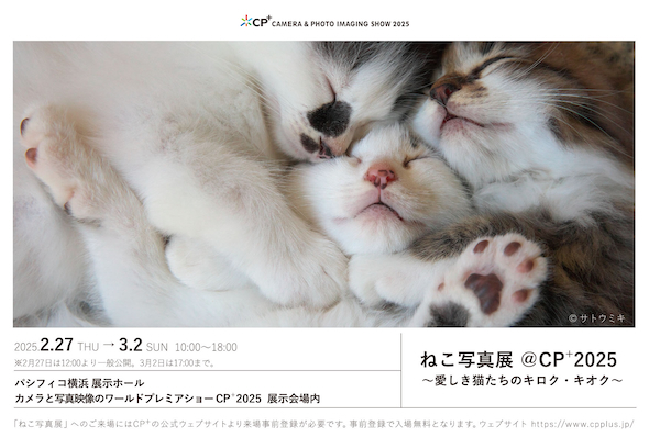 ねこ写真展