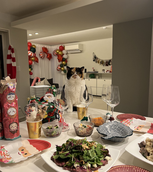 クリスマスのおあげちゃん