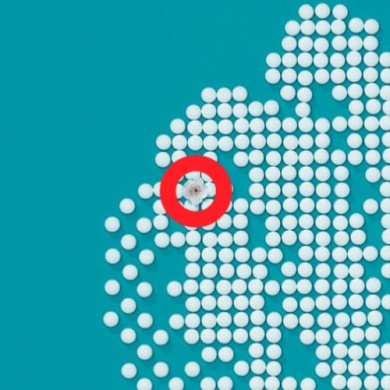 桜が隠れています！