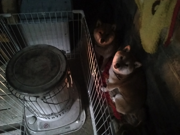 火が消えてしまうと「ぼうけんのしょ」も消えてしまうシビアな設定