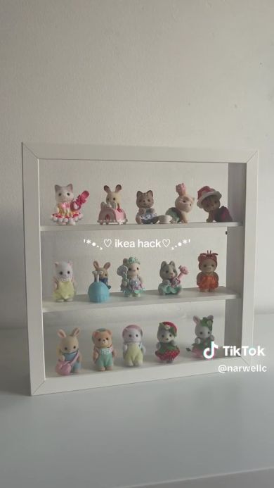 棚が完成したところ