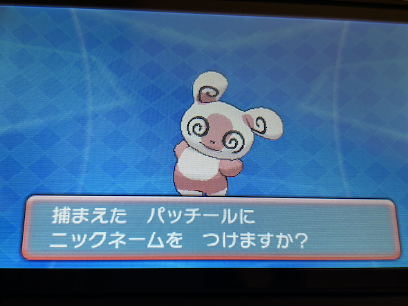 左右対称のパッチール