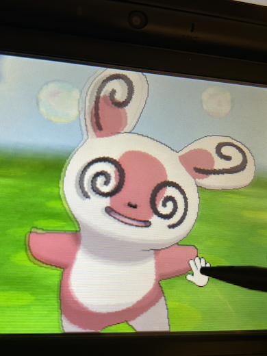 左右対称のパッチール