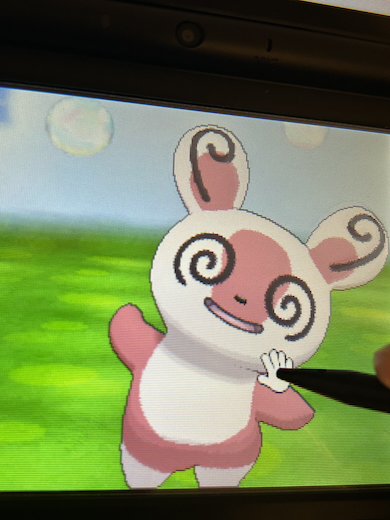 左右対称のパッチール