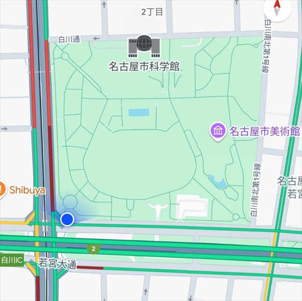 よくみたら猫の形だった名古屋の白川公園