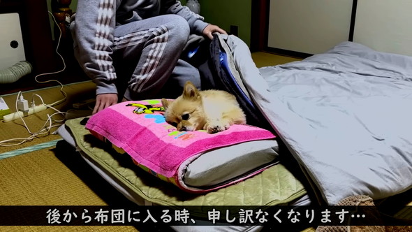 後から入る飼い主