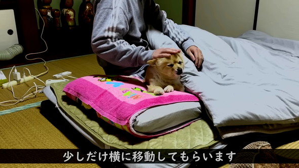 移動してもらう