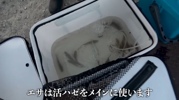 弁天流し釣りに使う生きたハゼ