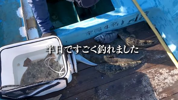 弁天流し釣りで手に入れたヒラメとマゴチ