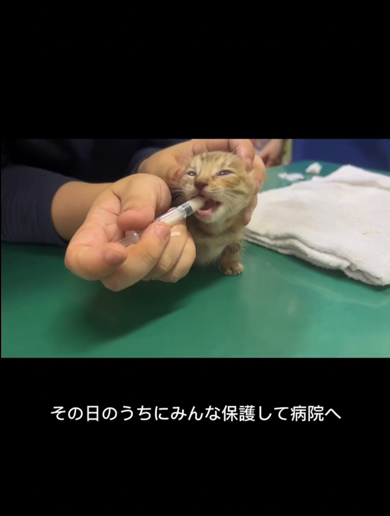 病院で検査を受けミルクをあたえられます