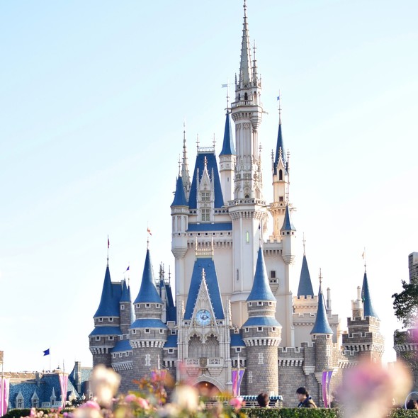 ディズニーの新グッズが話題