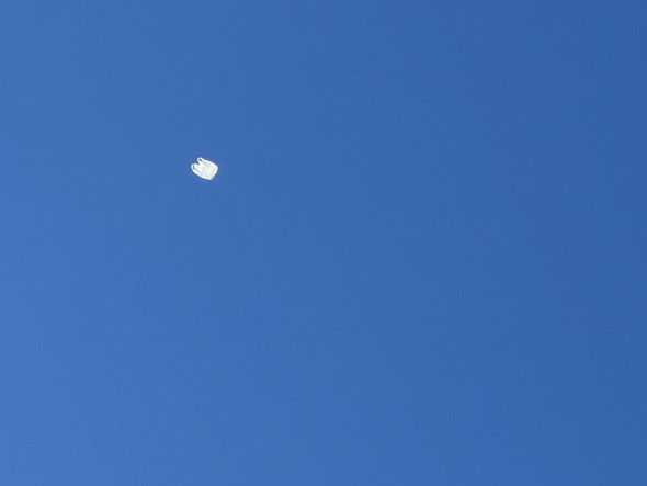 青空に浮かぶレジ袋