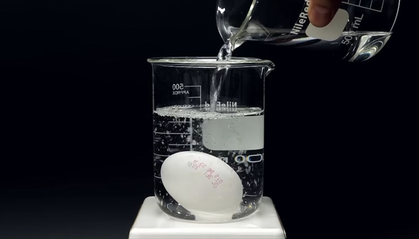 生卵をお酢に浸ける実験