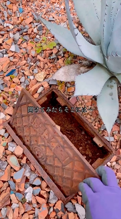 メーターボックスで起きた珍事