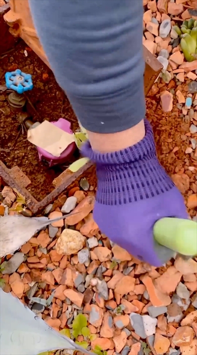 メーターボックスで起きた珍事