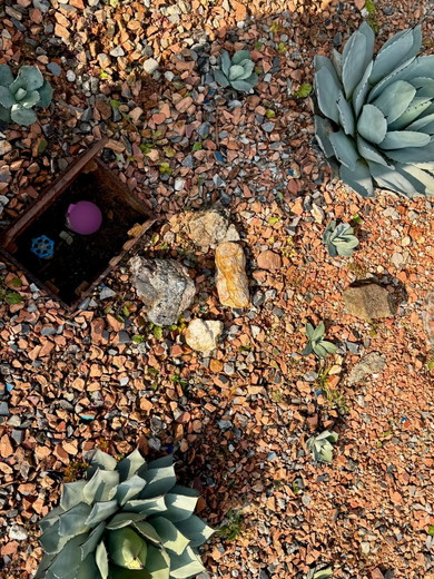 メーターボックスで起きた珍事