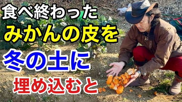おすすめ