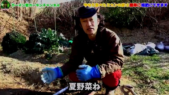 みかんの皮の活用法