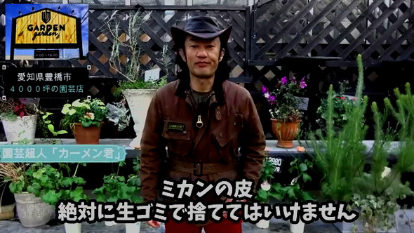 みかんの皮の活用法